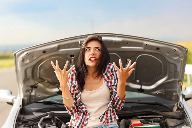 Auto Maintenance Guru